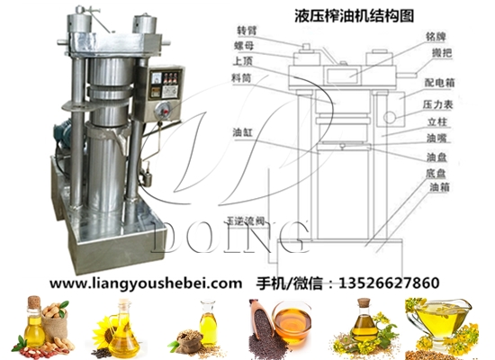 液壓芝麻油榨油機(jī) 液壓芝麻油榨油機(jī)